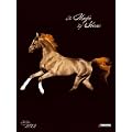 Magic Horses 2012. Decor Calendar: Magische Pferde