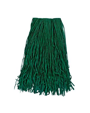 Click here for Luau Clothing: Adult Grass Skirt - Green (XL 42x28... prices