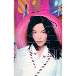 Bjork Post book cover