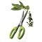 Grow Herbs for Cooking
