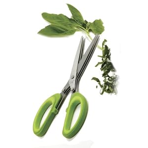 Click to read our review of the Norpro Triple Blade Herb Scissors!