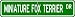 Miniature Fox Terrier STREET SIGN ~ High Quality Aluminum ~ Dog Lover