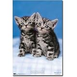 Keith Kimberlin Kitten Twins Art Poster Print - 22x34 Poster Print, 22x34