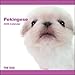 Pekingese 2009 Calendar