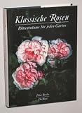 Produkt-Bild: Beales, Peter: Klassische Rosen. Bl&uuml;tentr&auml;ume f&uuml;r jeden Garten. Vorw. zur dt. Ausg. von Heinrich Schultheis. K&ouml;ln, DuMont, 1992. 4&deg;. 432 S. mit zahlr. Abb. Leinen. Schutzumschl. (ISBN 3-7701-2934-2)