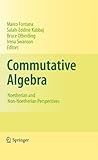 Commutative algebra : noetherian and non-noetherian perspectives