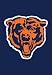 Chicago Bears Garden/Window Flag