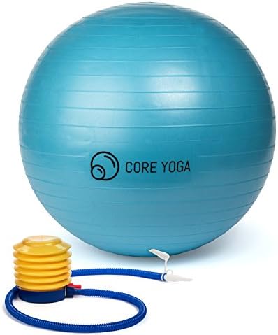 Exercise Ball - Slip Resistant Exercise Ball - Professional Grade Exercise Ball - Anti Burst Exercise Ball - Supports 2200 lbs - Exercise Ball 65cm - Quality Core Strength Ball