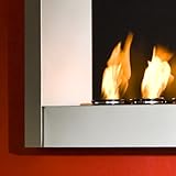 Wall Mount Indoor/Outdoor Fuel Fireplace Silver