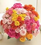 100 Blooms of Multicolored Spray Roses