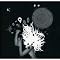 Ultimate Experimental top 10 albums of 2010