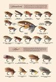Framed Black poster printed on 20 x 30 stock. Fly-Fishing Lures: Standard and Hair