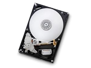 Amazon.com: Hitachi Deskstar 7K1000.B 1TB