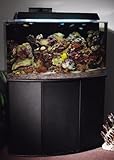 Aquarium Furniture
