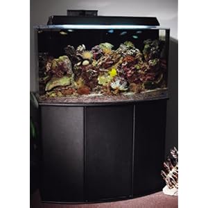 Aquarium Furniture 16 Gallon Bowfront Stand