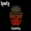 Insects
