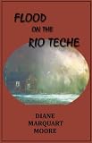Flood on the Rio Teche