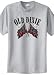 Big Mens Old Dixie T-Shirt (Big & Tall and Regular Sizes)