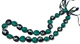 MLB Seattle Mariners Go Nuts Kukui Nut Lei Necklace