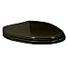 41Txy0XPWbL. SL75  American Standard Toilet: A Review of the American Standard Champion 4 Right Height Elongated Toilet