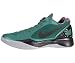 Nike Zoom Hyperdunk 2011 Low