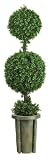5 &acute; Green Double Ball Topiary ( Indoor / Outdoor ) - B001RITXDE