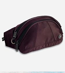 Pacsafe Stashsafe 100 Anti-Theft Hip Pack
