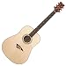 Tradition S2 Acoustic Guitar
