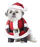 California Costume Collections Santa Pup Dog Costume, Medium