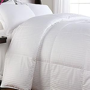 600TC Siberian White Goose Down Comforter, Full Queen by 