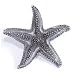 Emenee 2 1 4 quot X 2 1 4 quot Starfish Knob Or 208 Antique Matte Gold OR 208 AMG
