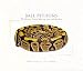 Ball Pythons: The History, Natural History, Care, and Brreeding by David G. Barker