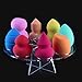 Gotd 8 Hole Oval Puff Holder Drying Rack Organizer Cosmetic Shelf Tool (Clear)