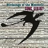 Buy : Sonic Geology