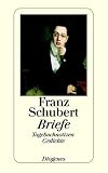 Produkt-Bild: Briefe: Tagebuchnotizen. Gedichte