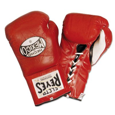Childrens Toyshop  Sporting Goods : Cleto Reyes Official Fight Gloves