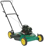 Weed Eater 961140012 22-Inch 158cc Briggs and Stratton Gas Powered Side Discharge/Mulch Lawn Mower