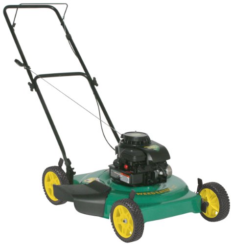 Weed Eater 961140003 22-Inch 158cc Briggs and Stratton Gas Powered Side Discharge/Mulch Lawn Mower Weed Eater 961140003 22-Inch 158cc Briggs and Stratton Gas Powered Side Discharge/Mulch Lawn Mower