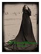 The Emerald Sorceress