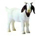 BOER KID by Schleich