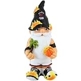 NBA Miami Heat Team Mascot Gnome