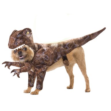 Raptor Dinosaur Pet Costume, Small