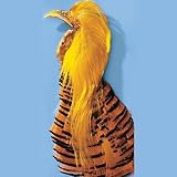 Fishing: Golden Pheasant Head and Crest
