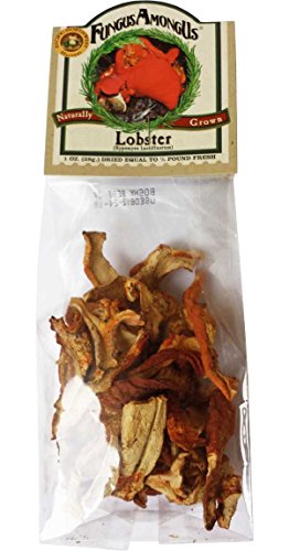 Dried Lobster Mushrooms 1 Ounce
