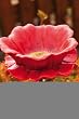 Peony Bird Stake Feeder