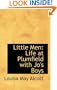 Little Men: Life at Plumfield with Jo's Boys