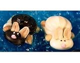 Lil' Chocolate and Peanut Butter Bunnies