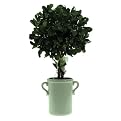 Smith & Hawken&reg; Mistletoe Topiary