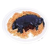 Gross Gory Squished Rat Jello Ice Cream Mold Halloween