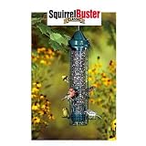 Squirrel Buster Classic